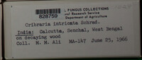 Image Associated With the Occurence